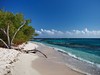 Ostrov Lime Cay
